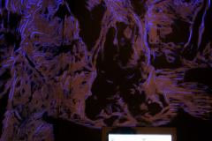 Exp-Background-69