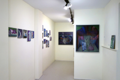 DSC4401