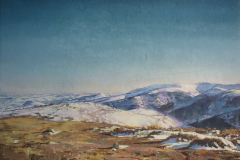 Hielo-en-un-mundo-cálido
