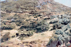 Monte-solitario