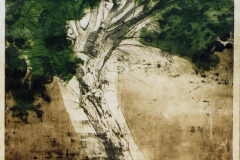 Árbol-dactila