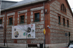Exp-Taxonomía del fetiche-1